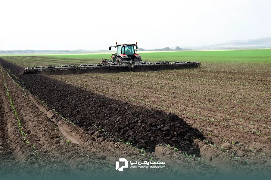 انواع کود برای لوبیا در مراحل مختلف رشد استفاده میشوند.