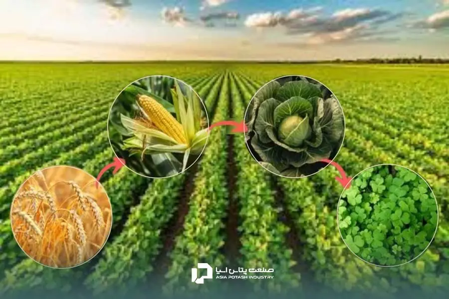 تناوب زراعی (Crop rotation)