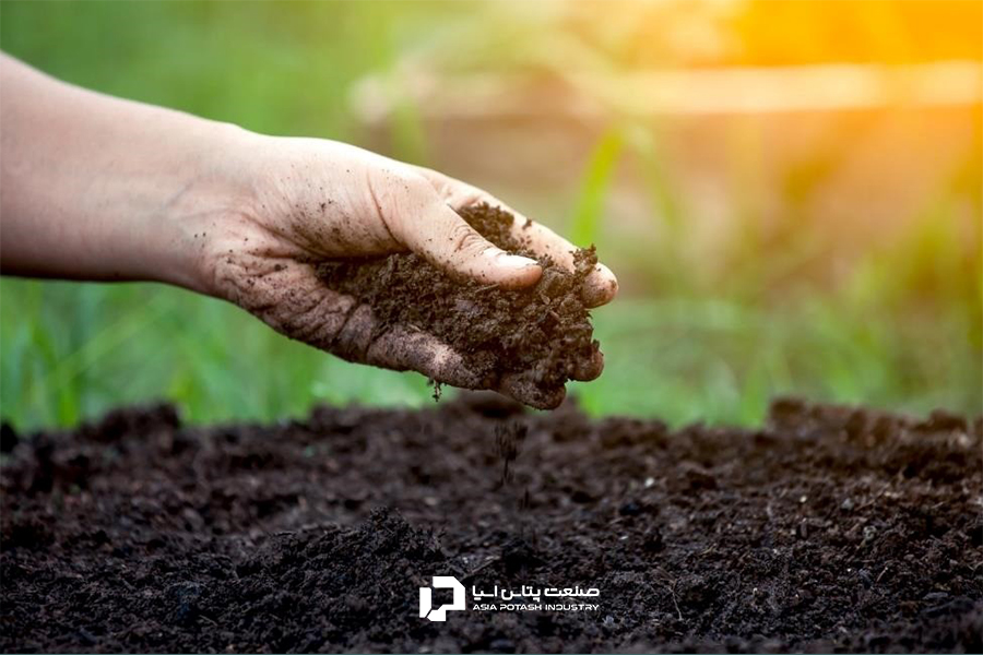 از دلایل اهمیت کود سالم در کشاورزی، حفظ سلامت خاک است.