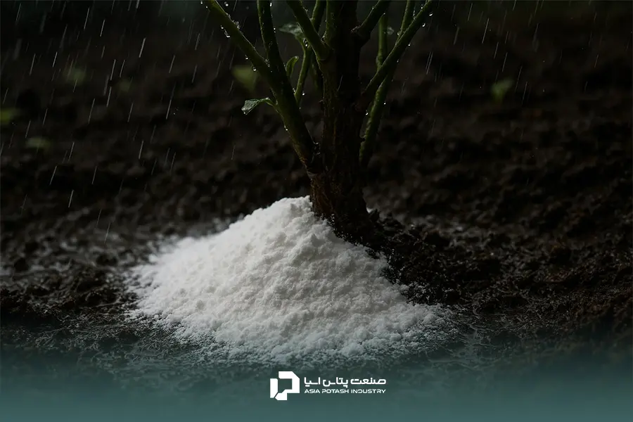 زمان مصرف کود پتاس به عوامل مختلفی مانند نوع خاک، نوع گیاه، شرایط آب و هوایی و مرحله رشد گیاه بستگی دارد.