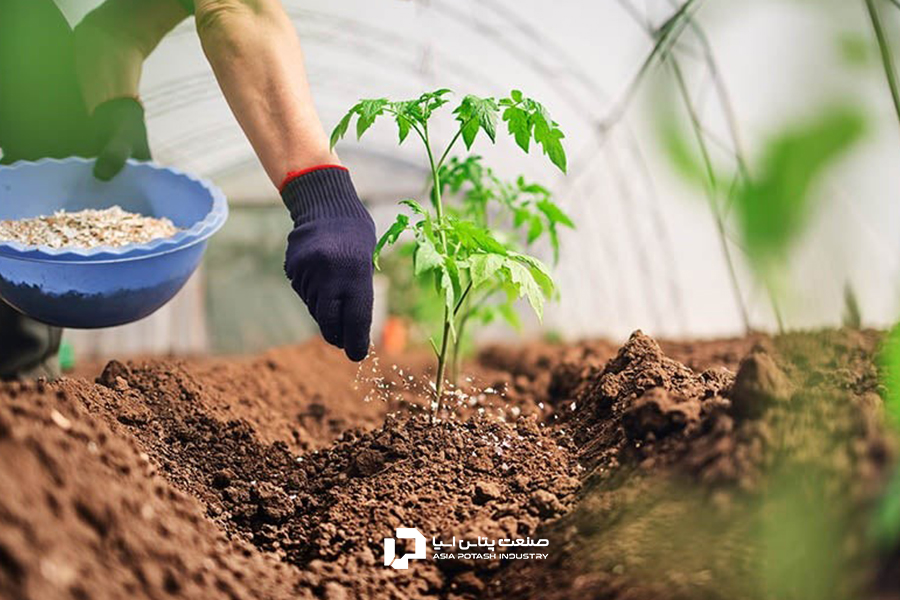 انواع کود شیمیایی کشاورزی بر پایه فسفر، پتاسیم و نیتروژن است