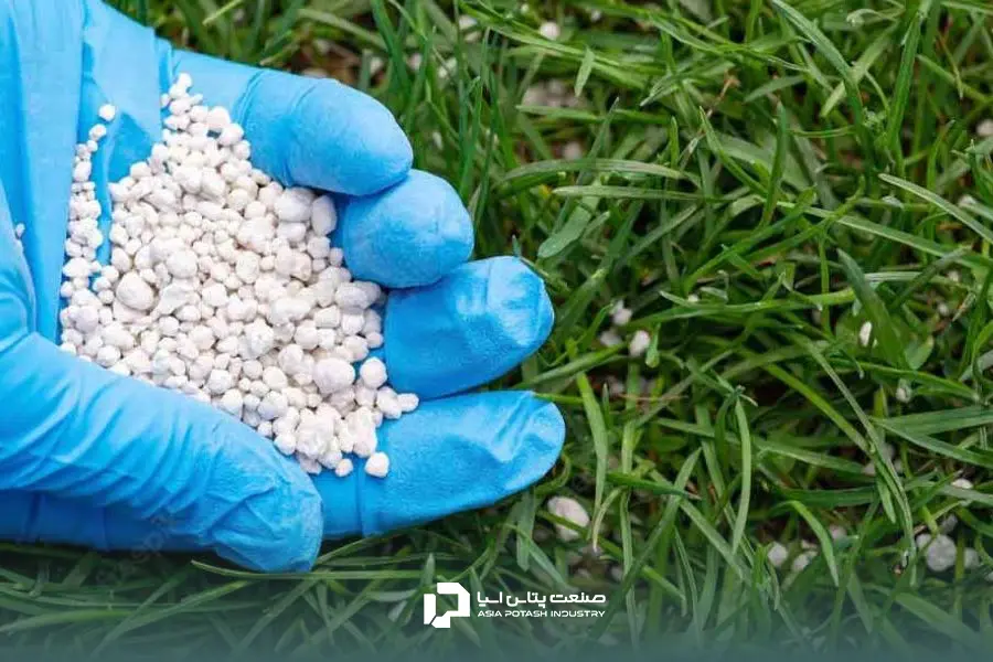 استفاده از کود سولوپتاس (سولفات پتاسیم) برای پیاز