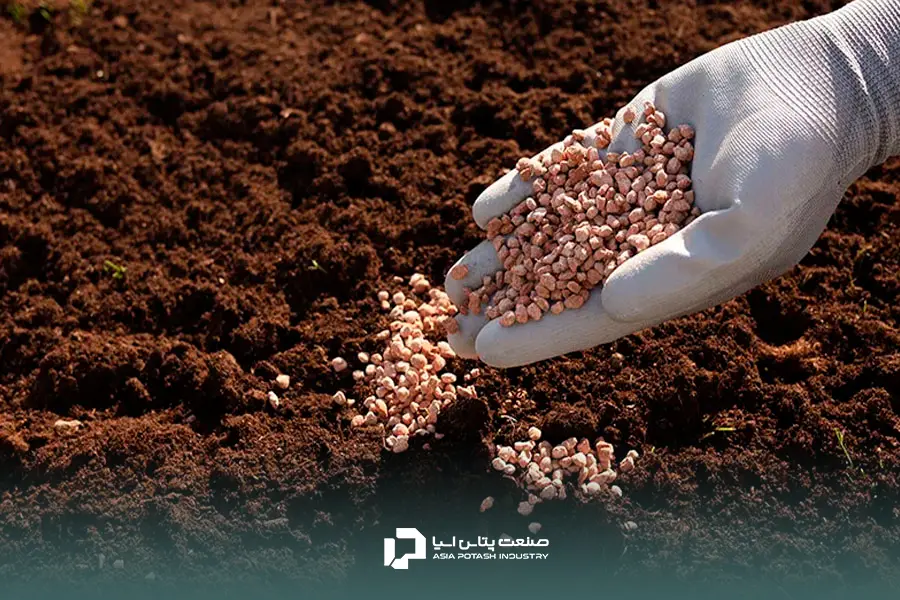 مصرف پتاسیم و افزایش کیفیت گیاه