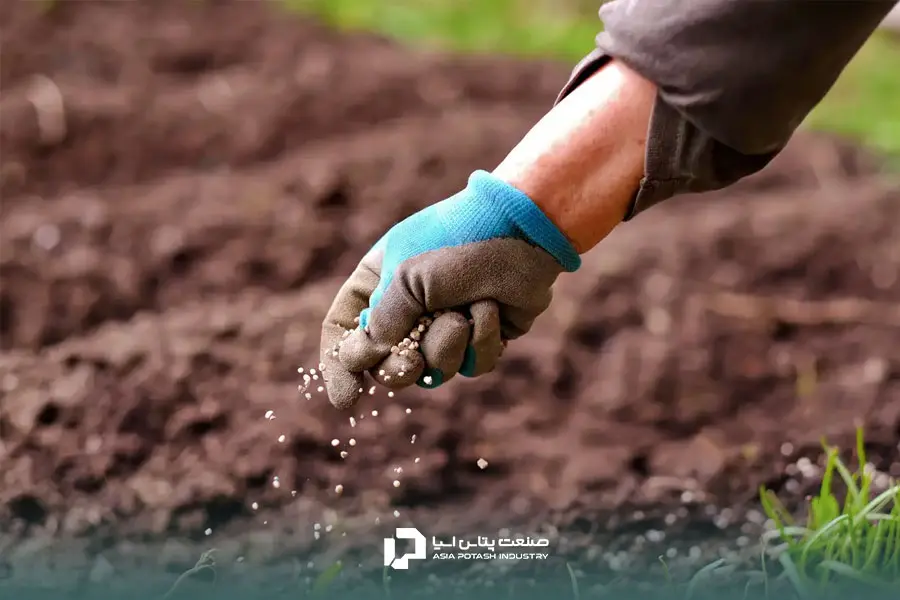 عوارض کود زیاد