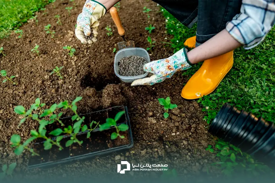 ترکیب کودهای کشاورزی و افزایش محصولات