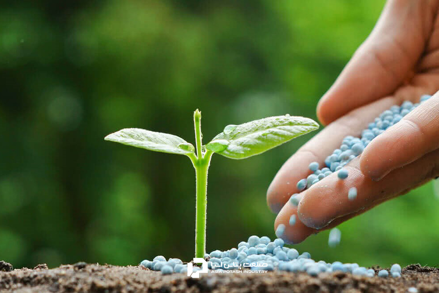 استفاده از کود سالم، محصولی سالم را نتیجه می‌دهد.