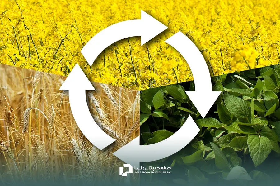 تناوب زراعی و افزایش بهره‌وری خاک