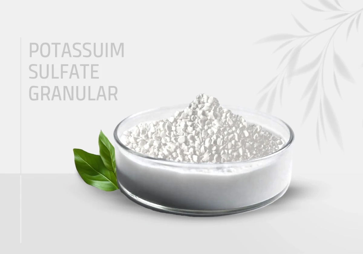 sulfate-granul.webp